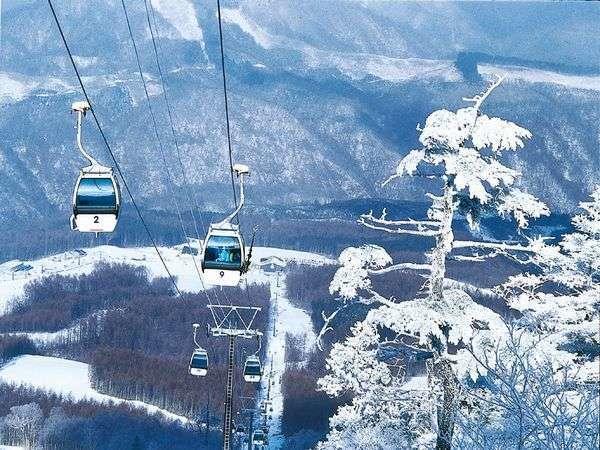 Shiobara Onsen Yama No Yado Shimofujiya Ξενοδοχείο Nasushiobara Εξωτερικό φωτογραφία