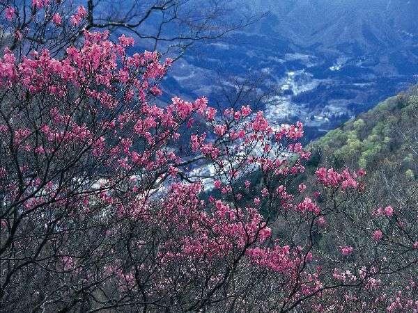 Shiobara Onsen Yama No Yado Shimofujiya Ξενοδοχείο Nasushiobara Εξωτερικό φωτογραφία